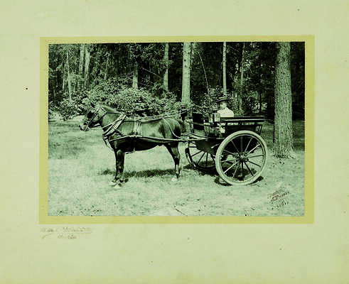 Восемь фотографий из собраний В.Г. Лидина: